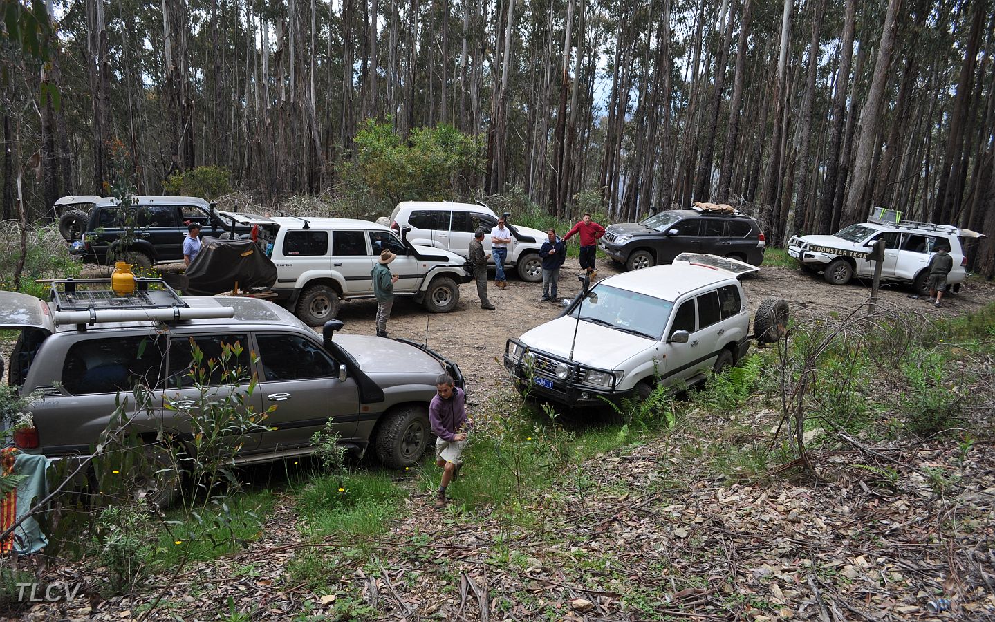 23-Morning Tea on McGuires Track.JPG